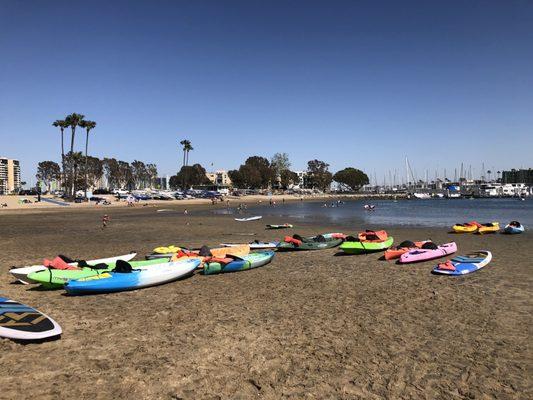 Paddle board and kayak equipment - nice colors and layout!