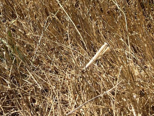 Point Pinole Regional Park