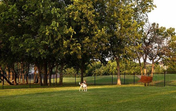 Pet-friendly community with dog park