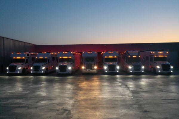 A line of Renegade RVs at night