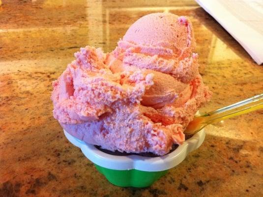 watermelon gelato! it wasnt as good as the pistachio and the cookie monster!