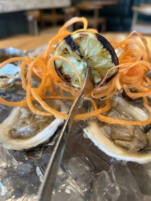 Oysters ( seasonal special)