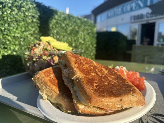 Chicken Pesto Panini