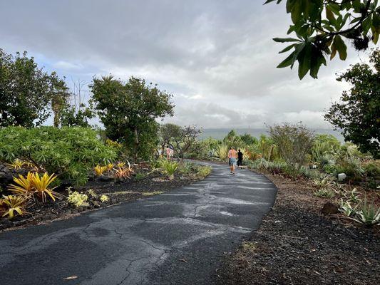 a nice botanical garden with a .7 mile walking/jogging loop on the other side of the parking area.