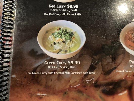 what I ordered (Green Curry)