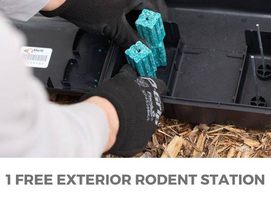 Ask about our February Deal on getting a free exterior rodent station!