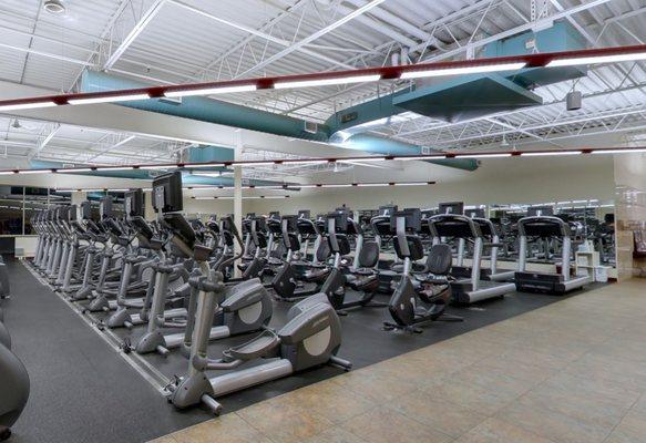 Cardio Equipment