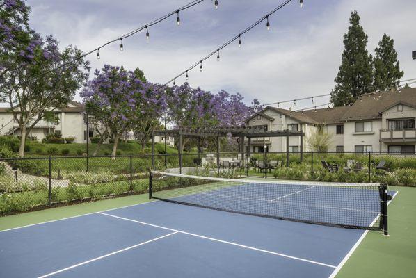 Pickle ball Court and Picnic Area