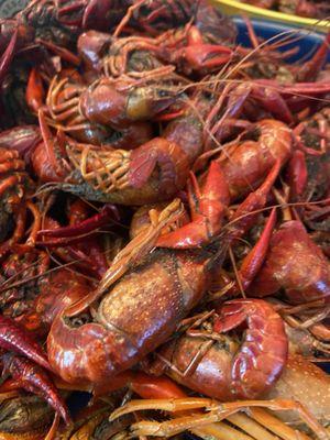 Crawfish on the Geaux