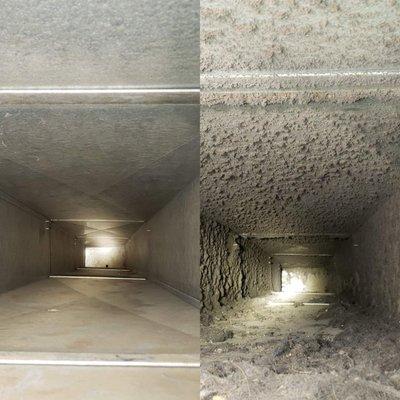 We remove what you cant see, and we supply you with Before and after Pics on most jobs