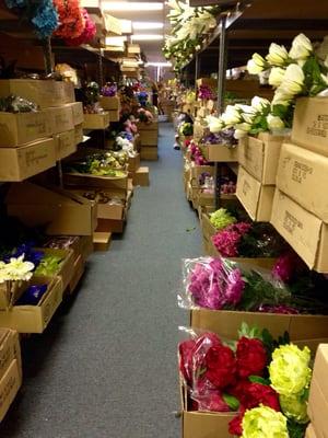 I could spend all day in here... Rows & rows of pure heaven!