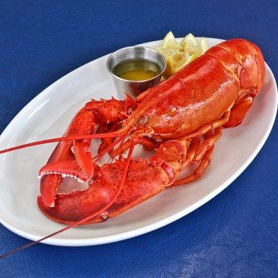 TUESDAY & WEDNESDAY LOBSTAH SPECIAL- 1 lb. Boiled Maine Lobster with Drawn Butter - $25