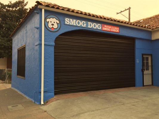 Vallejo Smog Dog