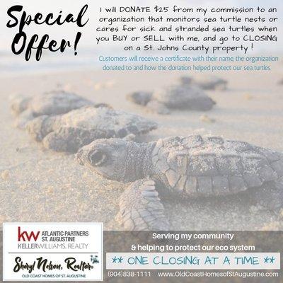 Sherri's Sea Turtle Offer