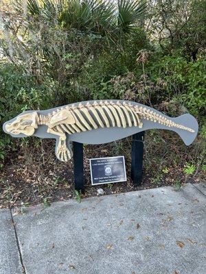 Manatee Park