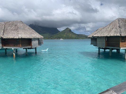 Four seasons bora bora