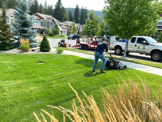 Lawn mowing