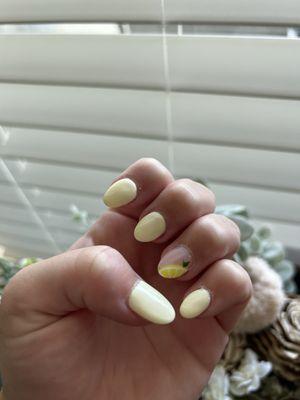 Gel acrylic set