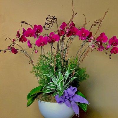 Beautiful Orchid Garden Planters