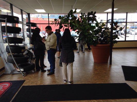 Their enormous plant in the waiting area is indicative of the care they will show your vehicle.