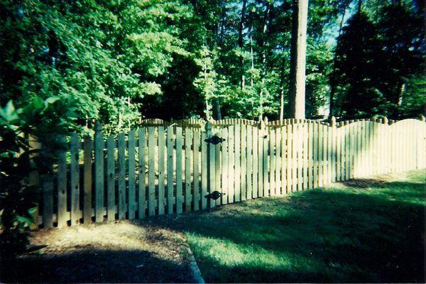 Convex picket with French Gothic Posts