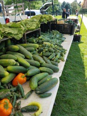 Produce table! $10 for all you can fit in a bag!