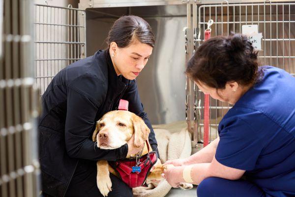 Animal Clinic at Thorndale