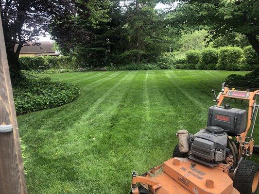 PNW Lawn Care