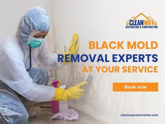 5_CleanWay Restoration _ Construction_Black Mold Removal Experts at Your Service.jpg