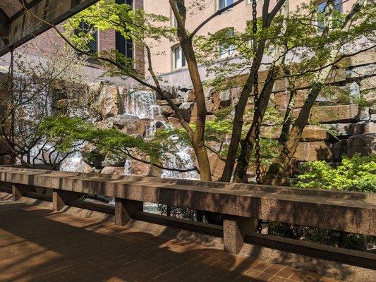 Tree in front of waterfall fountains