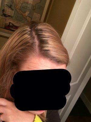 Stylist dyed everything but my roots. They look worse than when I came in. It looks like I have a month of grow out.