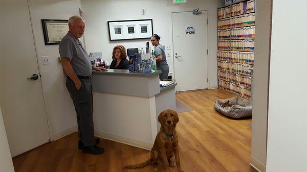 Remington the puppy works part time in the office.  His jobs are to greet our patients and make them smile.