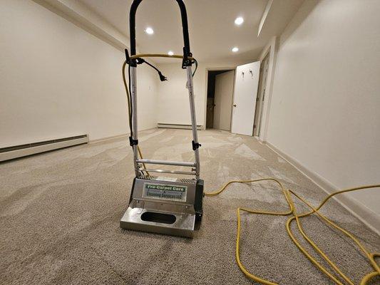 Pro Carpet Care & Cleaning Services