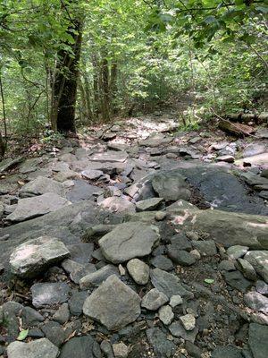 Rocks looking downhill