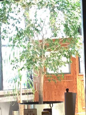 Foyer/lobby looking through restaurant's window natural &  artificial lighting.