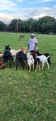 My son at the farm