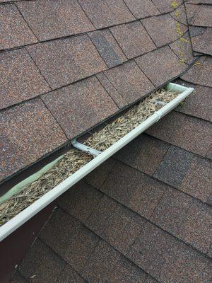 Best Price Gutter Clean