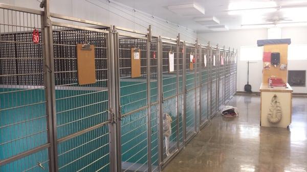 Standard kennel boarding