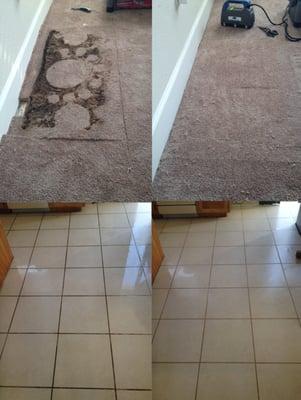 Carpet Cleaning Fremont Carpet Stretching Carpet Patch Carpet Repair Water Damage Fremont Air Duct Cleaning Dryer Vent Cleaning