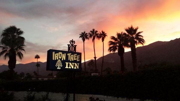 Iron Tree, Inn Palm Springs