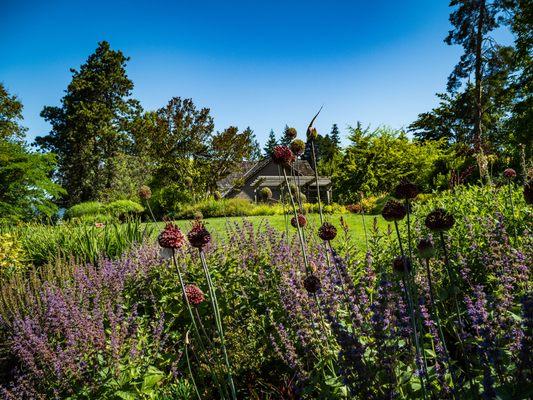 Perennial Border & Shorts House