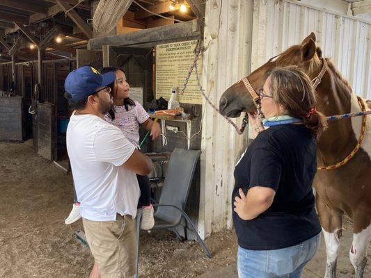 Grandkids having first up-close experience either horses!