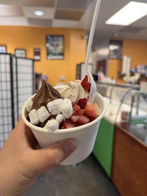 Small froyo - mix of peanut butter and mocha chocolate latte with mochi and strawberry