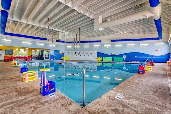 Our large pool can accommodate many different level swimmers simultaneously without disrupting other classes.