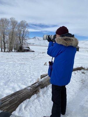 Elk refuge