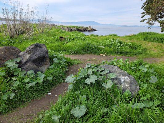 Eastbay Regional park.