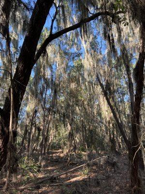 Bell Creek Nature Preserve