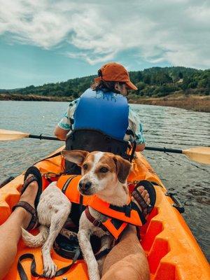 They allow dogs! Here we are on Lagunitas Creek.