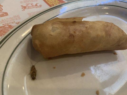 Egg roll