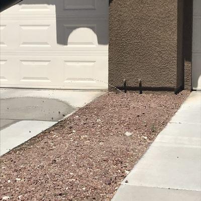 Ripped out the only nice plants in my driveway front of our condo but left water lines what a waste of water